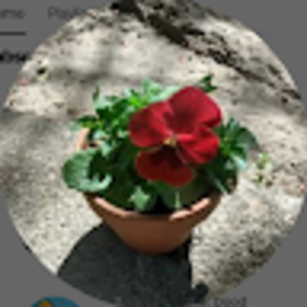 Meet your Posher, Lily